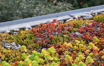 the cost of East Preston green roof installation