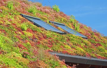 East Preston living roof systems